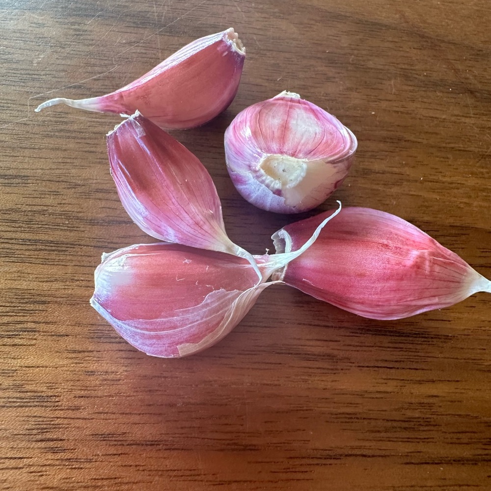 Garlic from The Farm: San Juan Island - Picture 3 of 14